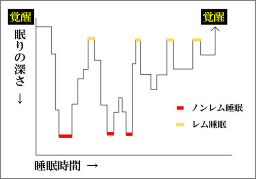 睡眠について