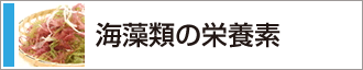 海藻類の栄養素